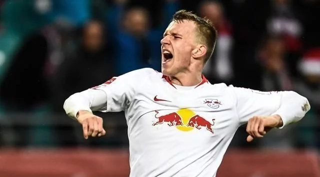 湿地生态马 湿地生态马